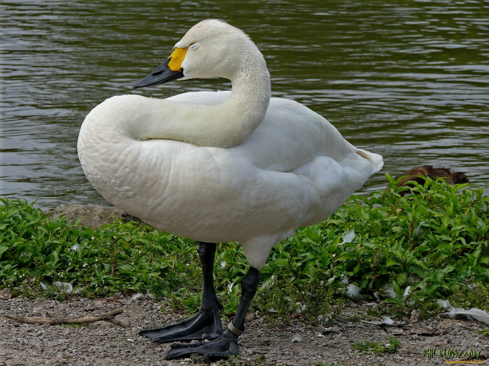 , , , 